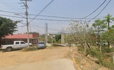 Tienda de productos para mascotas macucho