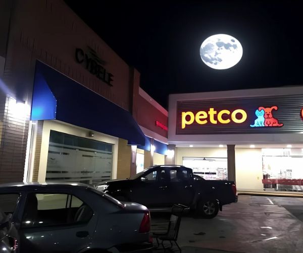 Exterior de Petco San Nicolás