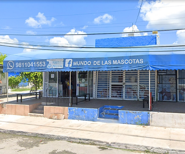 Interior - Veterinaria Mundo de las Mascotas, San Francisco de Campeche