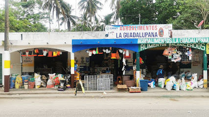 Servicios veterinarios en AGROALIMENTOS LA GUADALUPANA, Chiltepec, Chiapas.