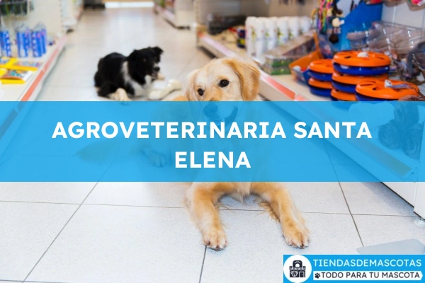 Veterinario AGROVETERINARIA SANTA ELENA
