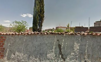 Veterinario ANIMAL CENTER HUANDACAREO