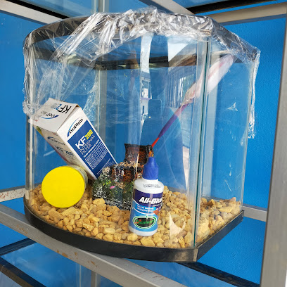 Veterinario Acuario CanHijos