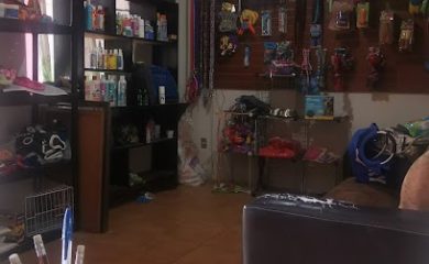 Veterinario Animal Care