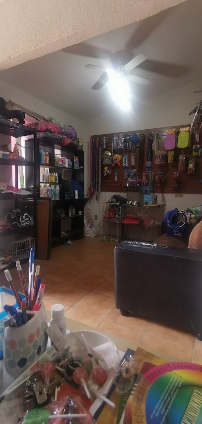 Veterinario Animal Care
