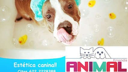 Veterinario Animal Friends Veterinaria