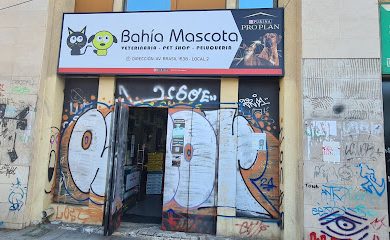 Veterinario Bahia mascota Valparaiso