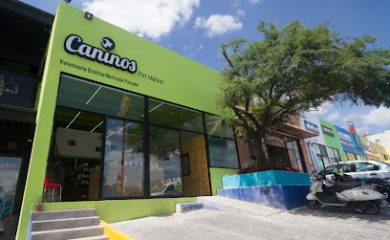 Veterinario Caninos Pet Market