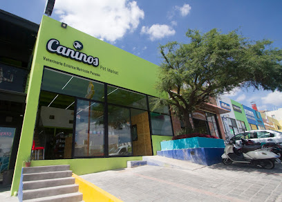 Veterinario Caninos Pet Market