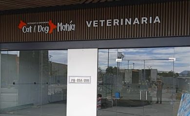 Veterinario Cat & Dog - Veterinaria Calimaya