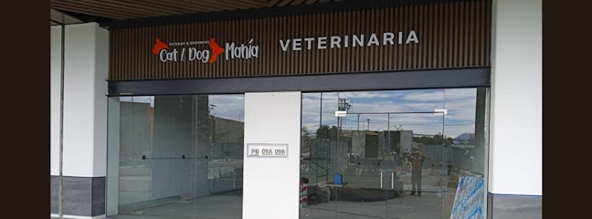 Veterinario Cat & Dog - Veterinaria Calimaya