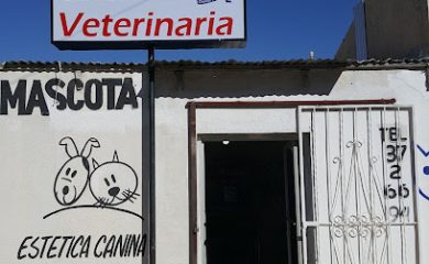 Veterinario Central de mascotas Clinica Veterinaria Caborca