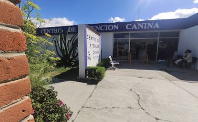 Veterinario Centro de Atención Canina