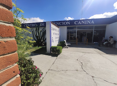 Veterinario Centro de Atención Canina