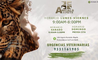 Veterinario Clinica Veterinaria Animal & Pets