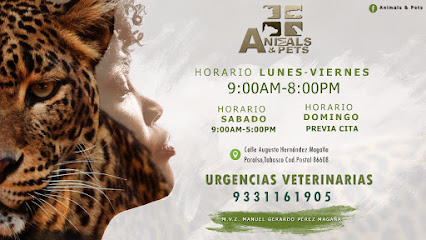Veterinario Clinica Veterinaria Animal & Pets