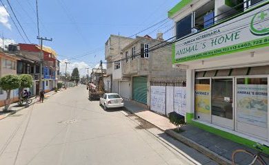 Veterinario Clinica Veterinaria Animal´s Home