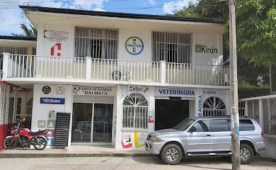 Veterinario Clínica Veterinaria Dálmata