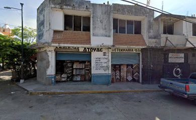 Veterinario Clinica Veterinaria El Arca , Atoyac de Alvarez