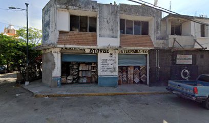 Veterinario Clinica Veterinaria El Arca , Atoyac de Alvarez