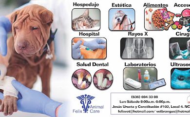 Veterinario Clinica Veterinaria Felix Animal Care
