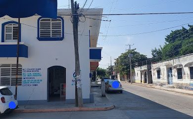 Veterinario Clínica Veterinaria Mani'