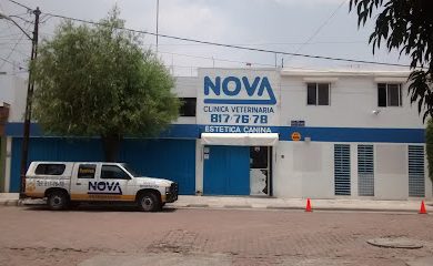 Veterinario Clínica Veterinaria Nova