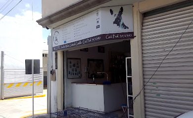 Veterinario Clínica Veterinaria Xolo