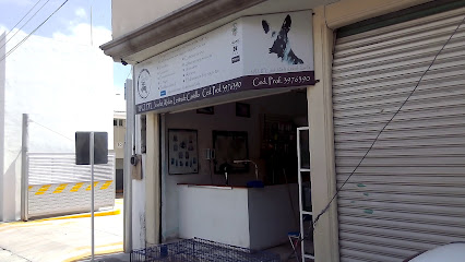 Veterinario Clínica Veterinaria Xolo