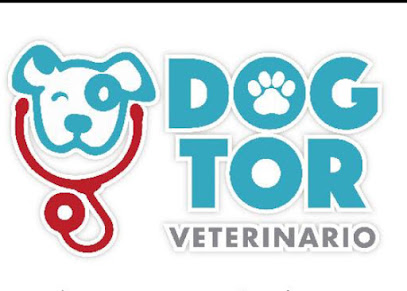 Veterinario Clínica veterinaria Dogtor