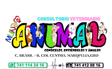 Veterinario Consultorio Veterinario Mundo Animal Marquelia