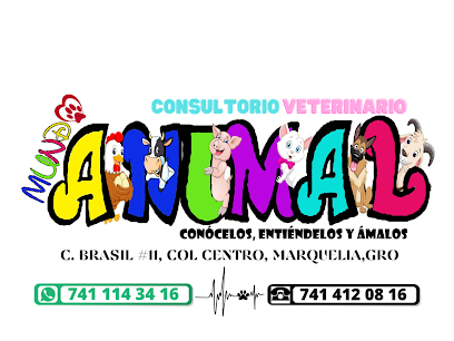 Veterinario Consultorio Veterinario Mundo Animal Marquelia