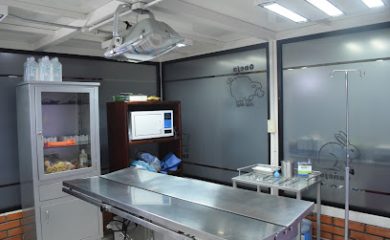 Veterinario Del Ángel Clínica Veterinaria