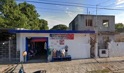 Veterinario Dog Vet