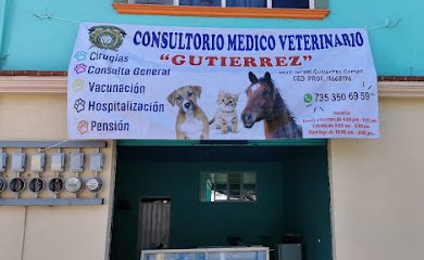 Veterinario Dr. Mascotas Veterinaria