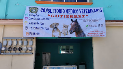 Veterinario Dr. Mascotas Veterinaria