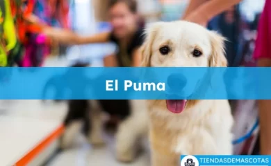Veterinario El Puma
