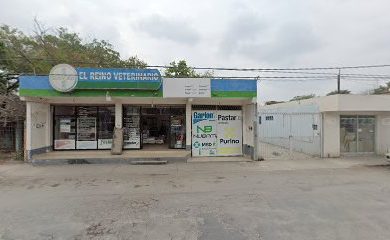 Veterinario El Reino Veterinario Suc Tamuin