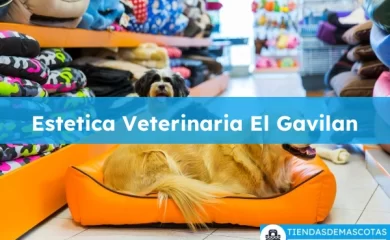 Veterinario Estetica Veterinaria El Gavilan