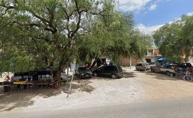 Veterinario FORRAJES SAN FELIPE