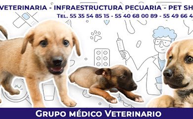 Veterinario Grupo Médico Veterinario Patitas y Huellitas