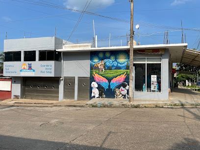 Veterinario Guaupérrimos