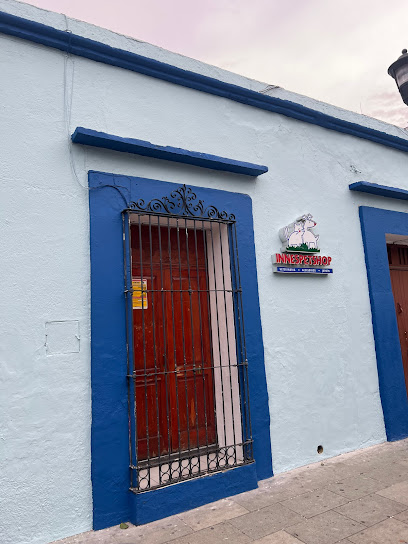 Veterinario INNESPETSHOP CENTRO