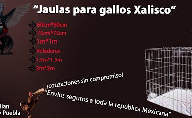 Veterinario Jaulas para Gallos Xalisco