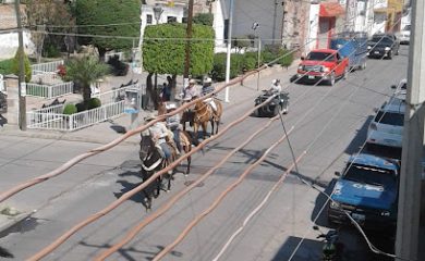 Veterinario La Casa Del Ranchero, "Veterinaria-Forrajera-Accesorios"