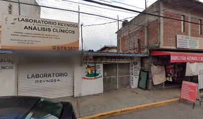 Veterinario La Casa de la Mascota