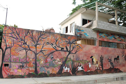 Veterinario La Mascota Callejera Huatulco