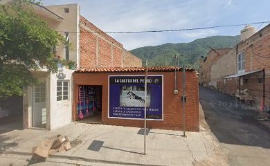 Veterinario La casita del perro