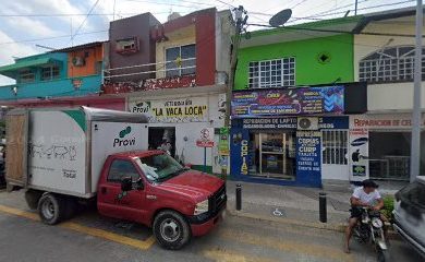 Veterinario La vaca loca