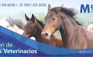 Veterinario Marsanvet Productos Veterinarios